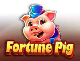 10 tk